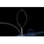 Convenient Using Polypectomy Snare Instrument With 3 Years Shelf Life