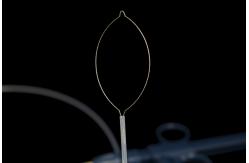 China Convenient Using Polypectomy Snare Instrument With 3 Years Shelf Life supplier