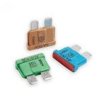 80V Medium Blade Fuse