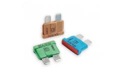 China 80V Standard Car Auto Fuse supplier