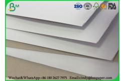 China Packaging Box Coated Duplex Board Grey Back 350gsm 300gsm In Sheet / Roll supplier
