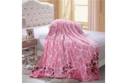 China Multi Purpose Polyester Flannel Blanket Suitable Portable For All Ages supplier