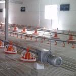220V 50Hz Automatic Broiler Feeding System 2.2KW Stainless Steel for sale
