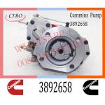 Cummins M11 ISM11 Engine Parts Injection Fuel Pump 3095502 3895537 3892658