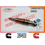 Diesel Common Rail Fuel Injector 2086663 1933613 1881565 2894920. Compatible