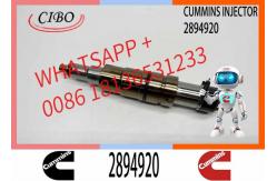 China Diesel Common Rail Fuel Injector 2086663 1933613 1881565 2894920. Compatible supplier
