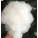 100D/36F Semi-Dull Round Polyester FDY Yarn for sale