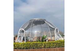 China 5m Patrick Star Bubble House supplier
