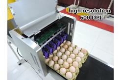 China Poultry Husbandry Eggs Inkjet Date Coder Machine To Prevent Counterfeiting supplier