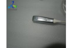China GE 3SC-RS Sector Array Ultrasound Transducer Probe Medical Scanner supplier