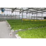Multi Span Organic Crops Growing Greenhouse With Water Saving Solutions