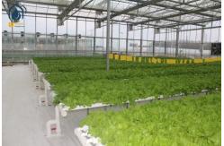 China Multi Span Organic Crops Growing Greenhouse With Water Saving Solutions supplier