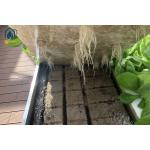 Agricultural Ebb And Flow Rolling Benches Movable Nursery Seedling Trays for sale