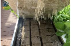 China Agricultural Ebb And Flow Rolling Benches Movable Nursery Seedling Trays supplier
