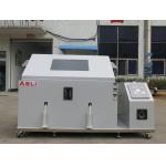 Salt Spray Test Chamber for Testing Electronic Apparatus Corrosion Resistance for sale