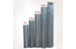 China Galvanized Bird Cage Electro Welded Iron Wire Mesh Multifunctional supplier