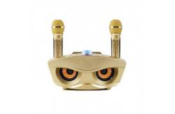 China 30W Family Karaoke Multifunctional Wireless Speak With Mic Recorder supplier