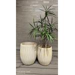 Transform Your Garden With Our Stylish Frost Resistant Fiberclay Planters