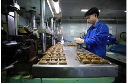 China Consumer Electronics Parts manufacturer