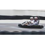 Remote Control Gears Electrical Go Kart Outdoor 43mm Terrain Clearance