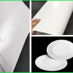 FDA & SGS 300g Approved PE Coated Paper White FBB Board For Paper Plates for sale