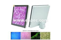 China 9.7inch LCD Pad Digital Camera , Android System Microscope Accessories A59.3510 supplier