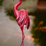 Multiple Metal Flamingo Garden Decor Lifelike Metal Flamingo Yard Art for sale