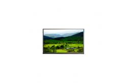 China N140BGN-EA3 1366*768 14.0 inch 220 cd/m2 LCD Touch Screen supplier