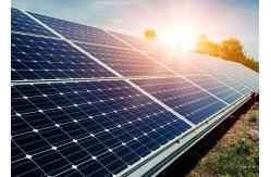 China Industrial Jinko 250w Solar Panels , Black Mono Solar Module CE Certification supplier