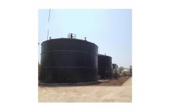China Pig Manure Digester Tank Biogas Anaerobic Digester Capacity supplier