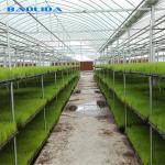 Plastic Transparent Multi Span Greenhouse Agriculture Side Window Support for sale