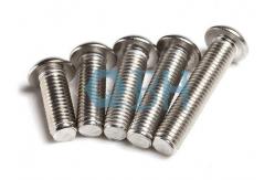China GR2 Bolt Round Head Square Neck supplier