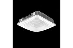 China Industrial 50w IP65 Led Gas Station Canopy Lights With 2 Years Warranty supplier