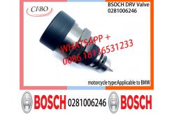 China BOSCH DRV Valve 0281006246 Control Valve 0281006246 Applicable to BMW supplier