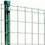 OD 60mm*1.5mm Green PVC Coated Welded Mesh Holland Mesh Netting
