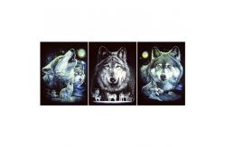 China Wild 3d Animals Images Offset Printing Free Sample / Custom Lenticular Printing supplier