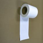 Compostable Blank Paper Roll Film For Reflective And Decorative Products Packaging Greaseproof for sale