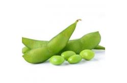 China Common Organic Frozen Edamame Beans With KOSHER BRC Certification supplier