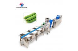 China 165MM Belt Industrial Vegetable Processing Machine Fruit Selection Washing Cutting Machine supplier
