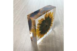 China Cubic acrylic resin paper weight with insect and flowers inside acrylic paperweight supplier