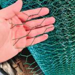 Hot Dipped Galvanized Hexagonal Chicken Wire Mesh Weaving Netting Fence 25m 30m 50m Length for sale
