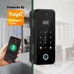 Smart Access Control Digital Door Lock Tuya Face Recognition Door Lock for sale