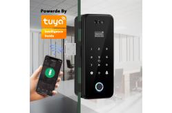 China Smart Access Control Digital Door Lock Tuya Face Recognition Door Lock supplier