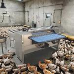 Egg Sorting Grading Machinery Egg Sorting And Washing Machine Egg Sorter Machine for sale