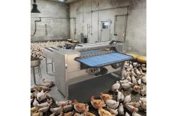 China Egg Sorter Machine Egg Grading Machine Egg Weight Grading Machine supplier