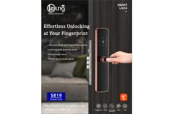 China 6068 Mortise Fingerprint Doorlock Tuya TTlock Wifi APP Optional supplier