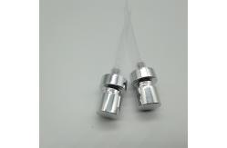 China Delicate Fragrance Dispenser  Silver Colour Perfume Pump Spray for Captivating Aromatic Experiences supplier