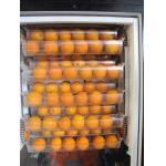 Intelligent Automated Fresh Fruit Juice Vending Machine Payment By Banknote And Coin