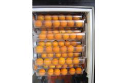 China Automatic Commercial Fresh Fruit Orange Juice Vending Machine With Nfc , Low Noise supplier