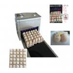 Poultry Agriculture Egg Marking Equipment , Batch Code Printing Machine For Eggs